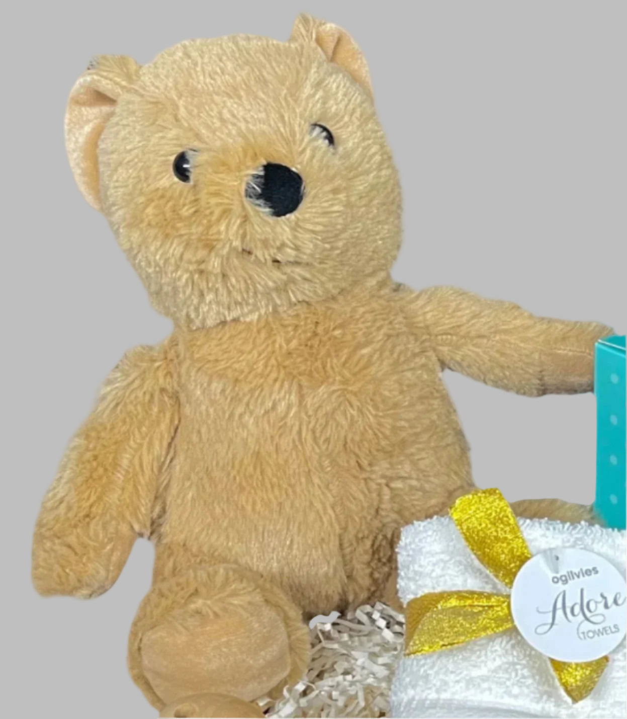 Newborn Hampers Treasures Teddy Edition