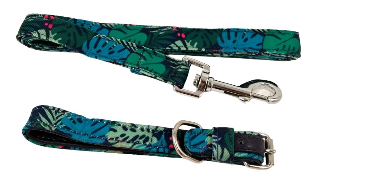 gift-for-your-dog-gifts-hamper-delight-gift-hampers-dog-pet-collar