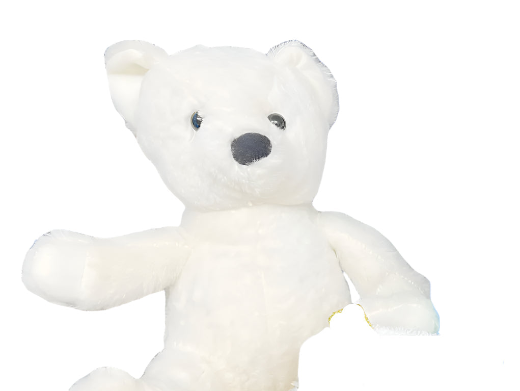 hamper-delight-gift-hampers-newborn-hamper-gift-treasures-white-teddy