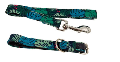 dog-gifts-hamper-delight-gift-hampers-dog-pet-collar