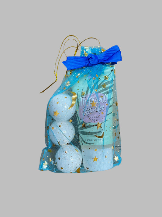 hamper-delight-gift-hampers-gift-bag