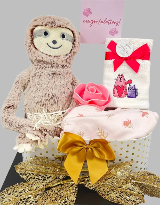 Newborn-Hamper-baby-Gift-Sloth-Teddy-lazy-gift-hampers